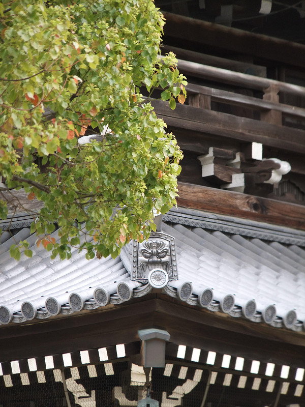 f:id:ujikenorio:20180523192425j:image f:id:ujikenorio:20180523192425j:image