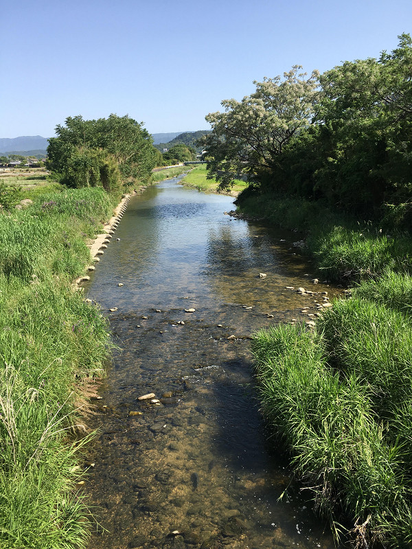 f:id:ujikenorio:20180528204541j:image f:id:ujikenorio:20180528204541j:image