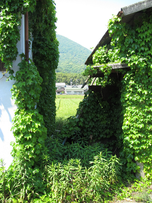 f:id:ujikenorio:20180610210901j:image f:id:ujikenorio:20180610210901j:image