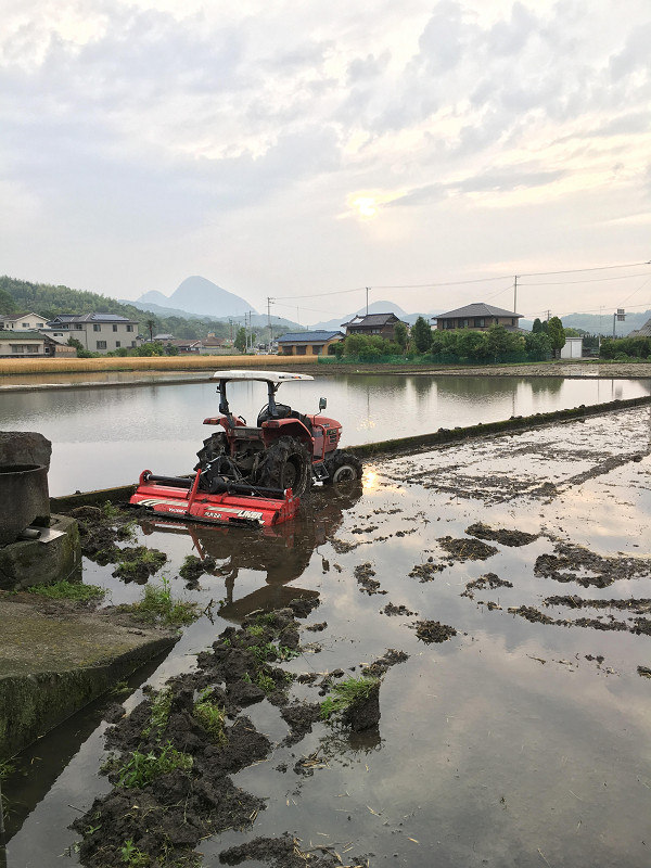 f:id:ujikenorio:20180610211424j:image f:id:ujikenorio:20180610211424j:image