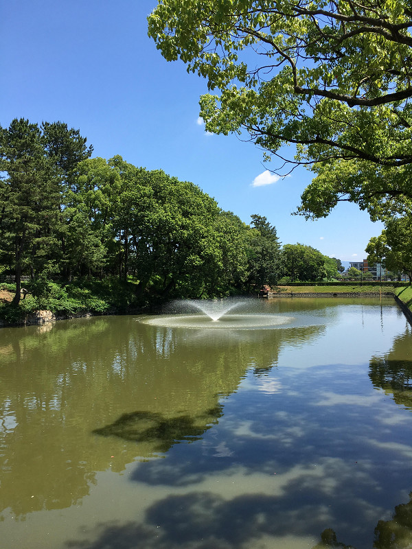 f:id:ujikenorio:20180619200521j:image f:id:ujikenorio:20180619200521j:image
