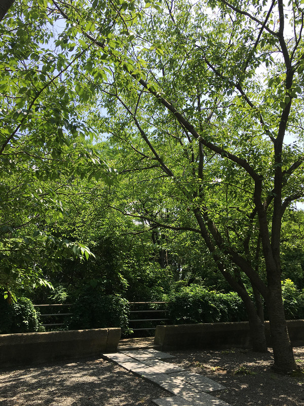 f:id:ujikenorio:20180619203752j:image f:id:ujikenorio:20180619203752j:image