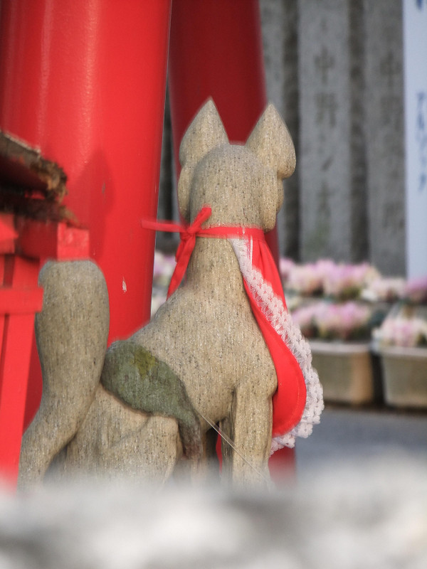 f:id:ujikenorio:20180623223438j:image f:id:ujikenorio:20180623223438j:image