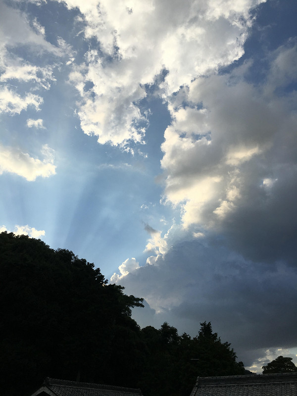 f:id:ujikenorio:20180729172254j:image f:id:ujikenorio:20180729172254j:image