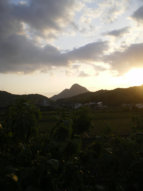 f:id:ujikenorio:20180804173156j:image f:id:ujikenorio:20180804173156j:image