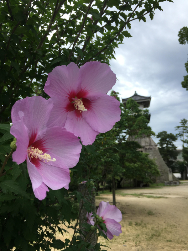 f:id:ujikenorio:20180804173907j:image f:id:ujikenorio:20180804173907j:image