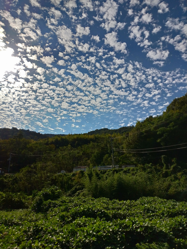 f:id:ujikenorio:20181010195419j:image f:id:ujikenorio:20181010195419j:image