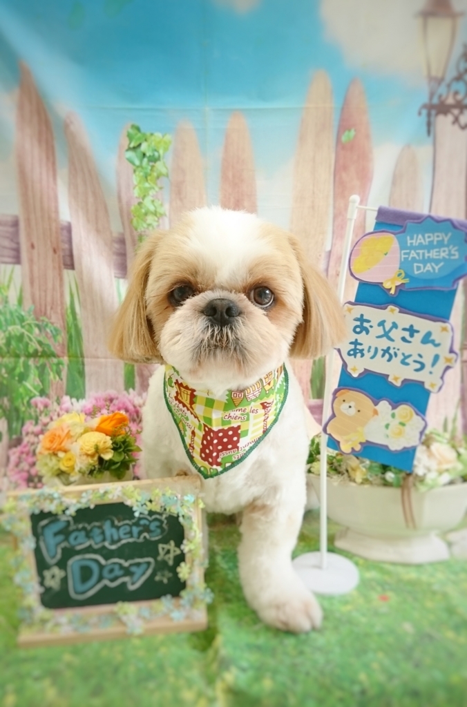 f:id:ujk_vet:20180528204330j:plain