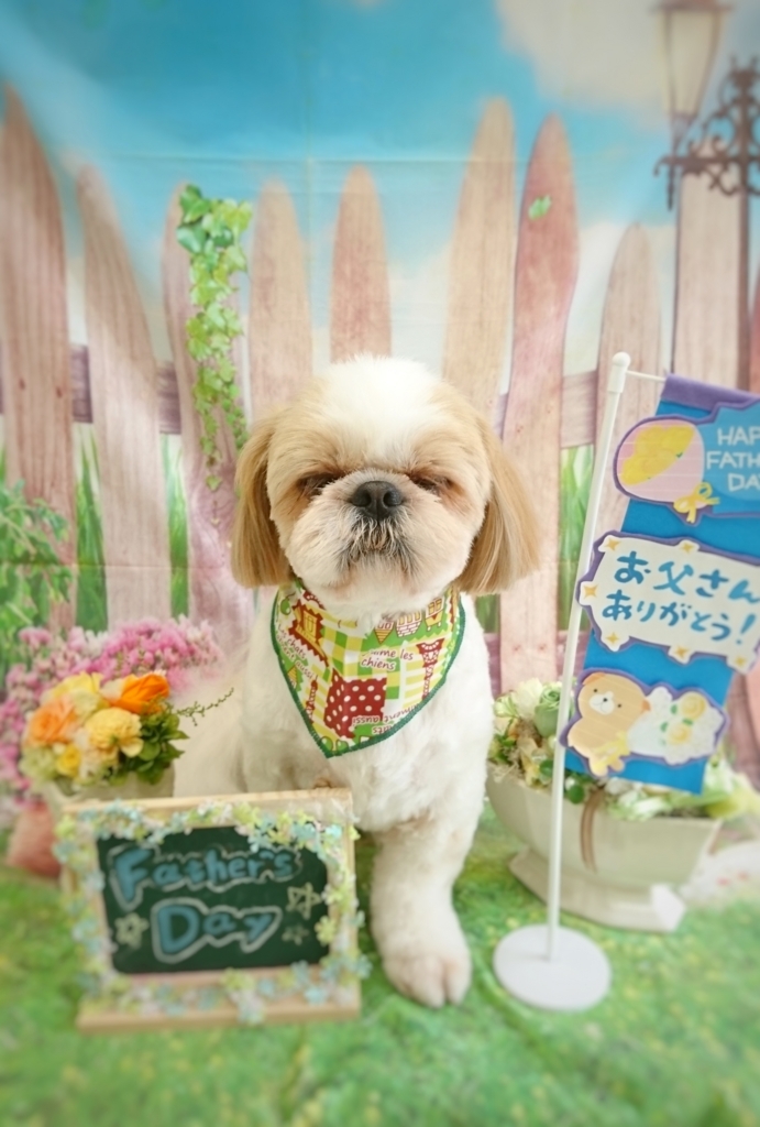 f:id:ujk_vet:20180528204402j:plain