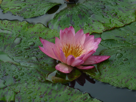 f:id:ukaf:20121126161140p:image f:id:ukaf:20121126161140p:image