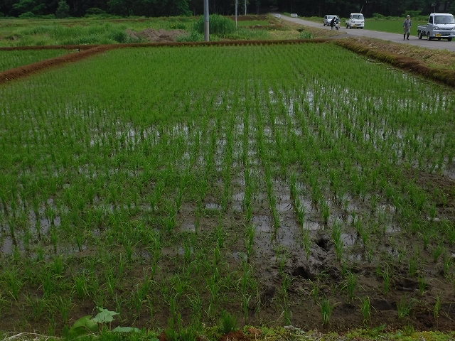 f:id:ukawanosannka:20170820215319j:plain
