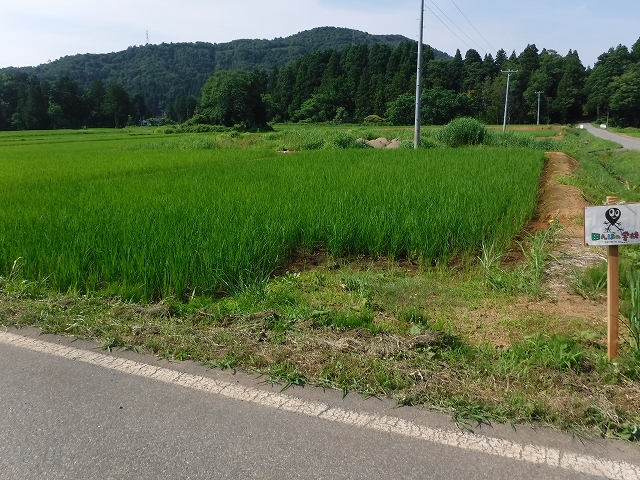 f:id:ukawanosannka:20170820215637j:plain