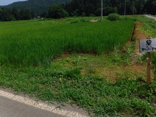 f:id:ukawanosannka:20170820220515j:plain f:id:ukawanosannka:20170820220515j:plain