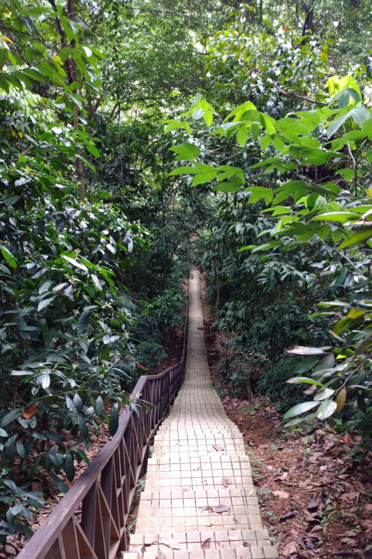 f:id:ukey66:20190310194846j:plain f:id:ukey66:20190310194846j:plain