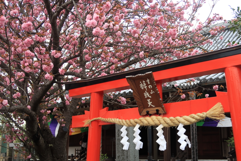 f:id:ukey66:20190312215845j:plain f:id:ukey66:20190312215845j:plain
