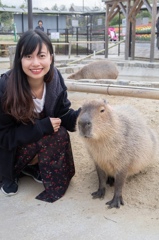 f:id:ukey66:20190525142236j:plain f:id:ukey66:20190525142236j:plain