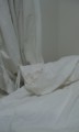 20100721195805