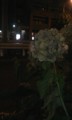 20100730202500
