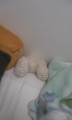 20100804012901