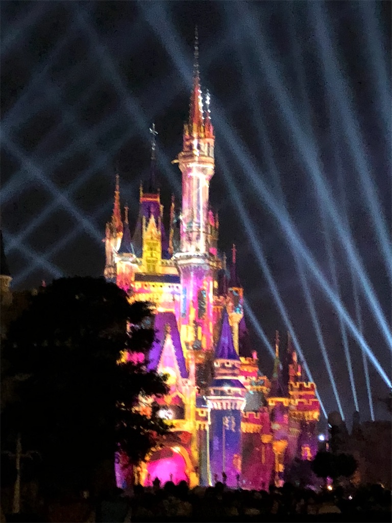 ディズニーランド ナイトタイムスペクタキュラー celebrate! tokyo