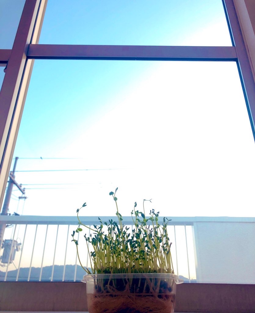 f:id:uki29103:20200509034807j:image f:id:uki29103:20200509034807j:image