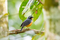 20240927184938