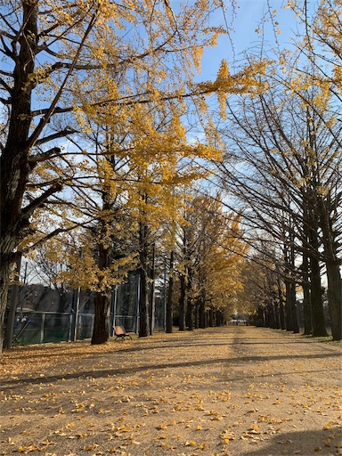 f:id:ukigusagurasi:20181212185206j:plain f:id:ukigusagurasi:20181212185206j:plain