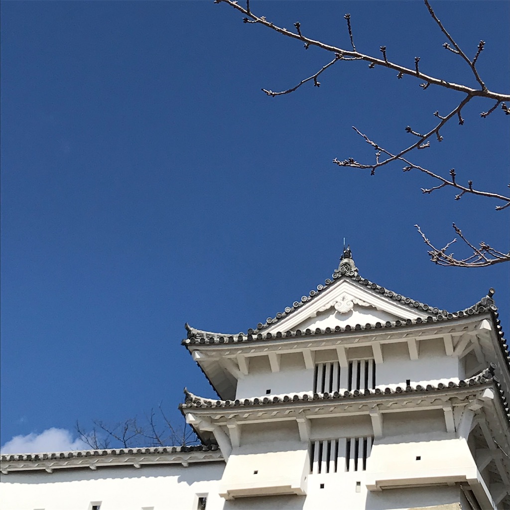 f:id:ukiko_tenui:20210216142608j:image f:id:ukiko_tenui:20210216142608j:image