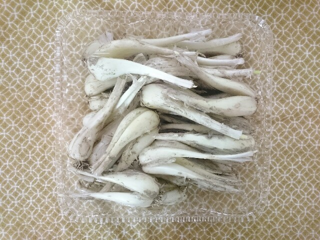 f:id:ukirakugurashi:20170606232813j:image f:id:ukirakugurashi:20170606232813j:image