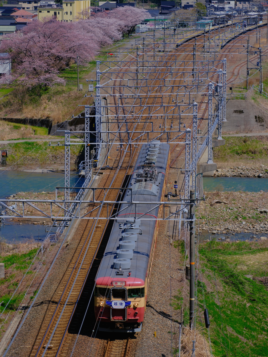 能生駅の桜並木と急行色の413・455系を撮る！(えちごトキめき鉄道撮影