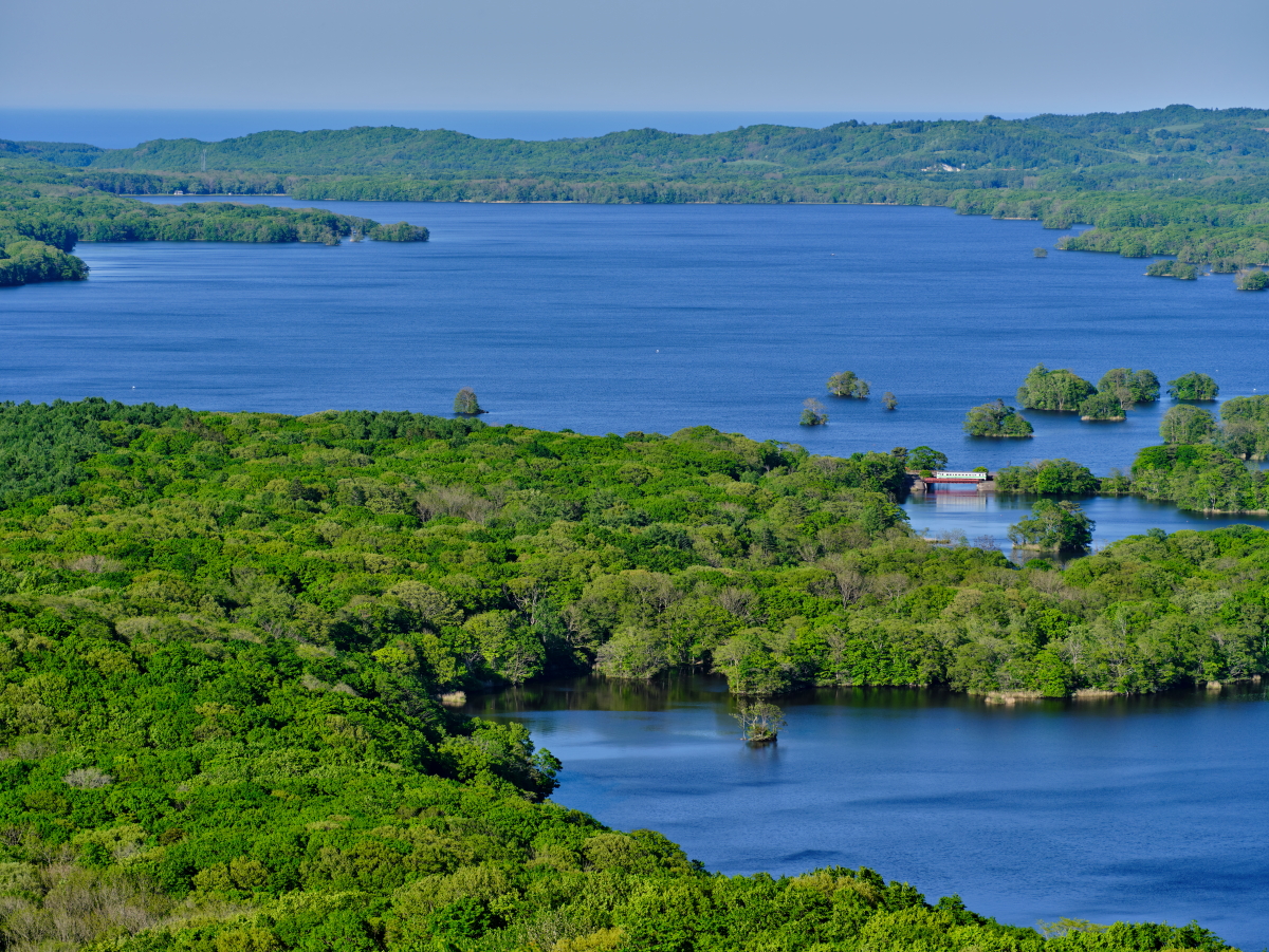 新緑の大沼公園を通過する、北海道色のキハ40を撮る！(日暮山俯瞰編