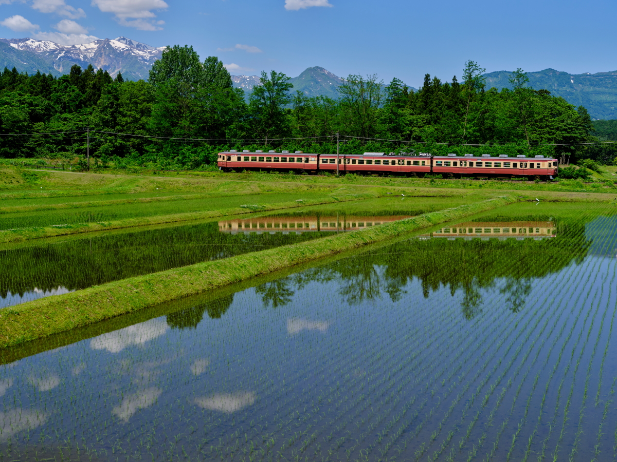 妙高山系の雪山と水田に映る413・455系を撮る！ - 続 うっかり鉄の鉄道
