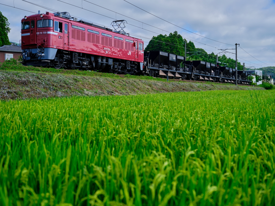 ED75-759の牽引するホキ工臨 - 続 うっかり鉄の鉄道風景写真撮影記