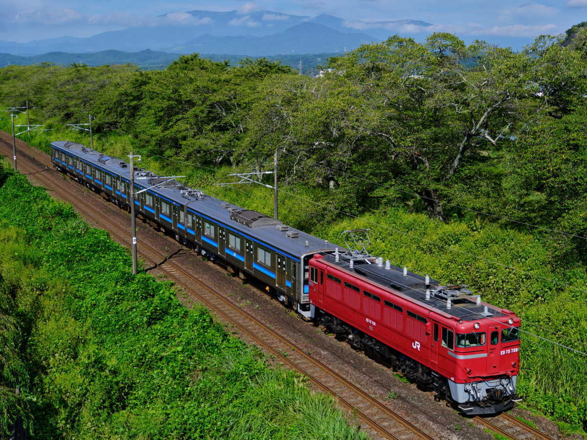 【美品】仙石線 205系 方向幕 ロール 鉄道部品 全39コマ 色付き幕 美品】仙石線 205系 方向幕 ロール 鉄道部品 全39コマ 色付き幕