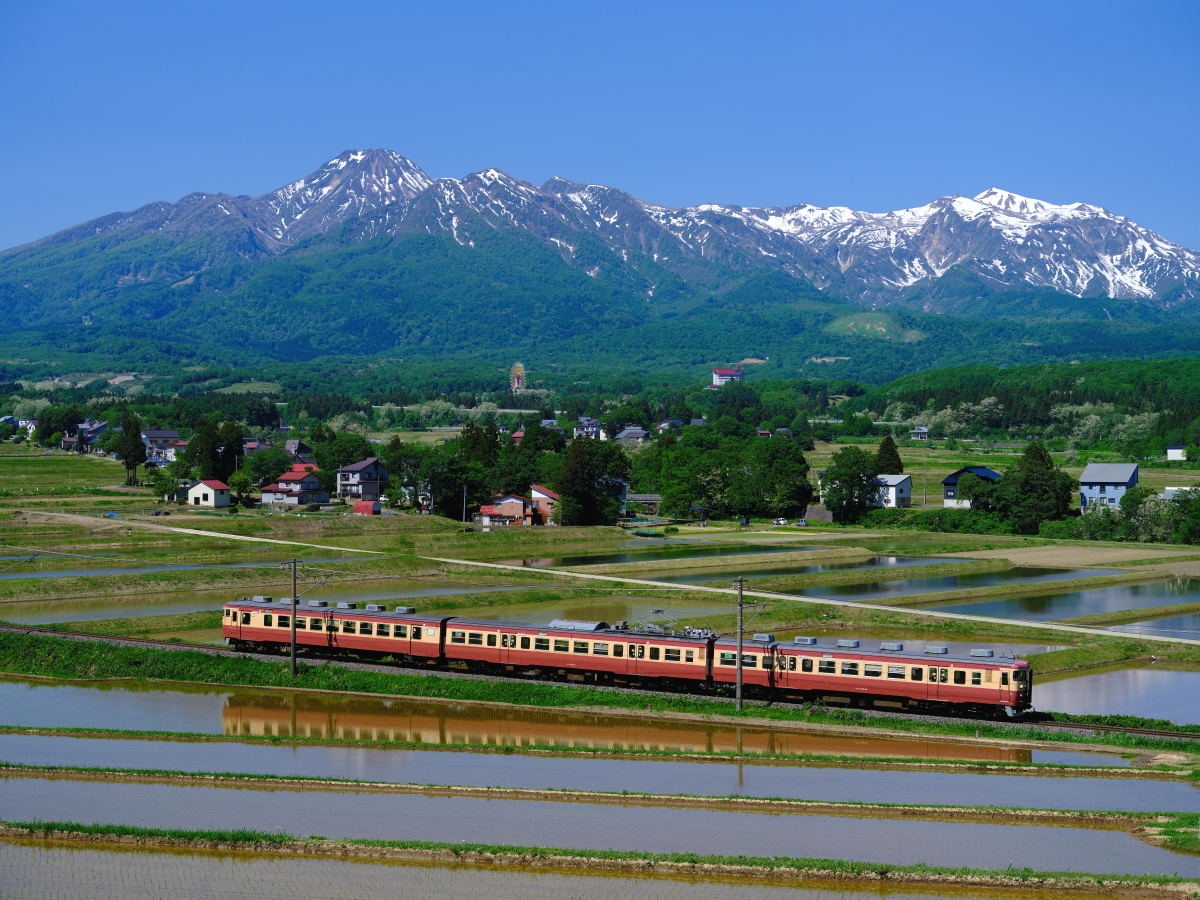 残雪の妙高山と、田植え直後の旧信越山線を往く国鉄色の413・455系を