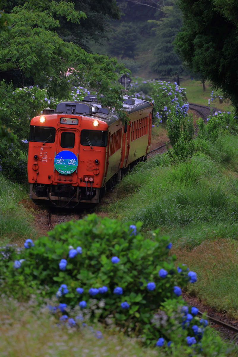 全商品 - 鉄道雑貨の店 ぽっぽや (Page 2)