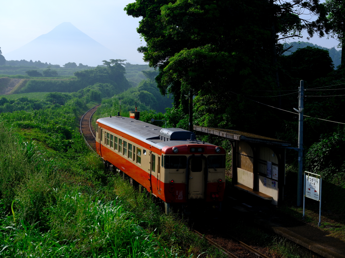 指宿枕崎線 松ヶ浦駅に停車する、ツートンカラーのキハ40-8036を撮る