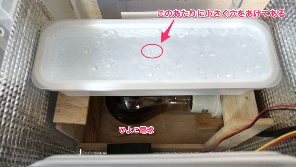 f:id:ukkz:20200706013658p:plain