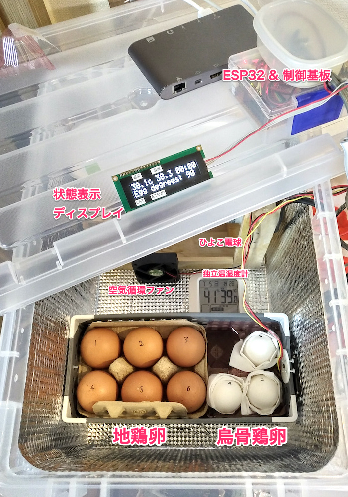 f:id:ukkz:20200706014543p:plain