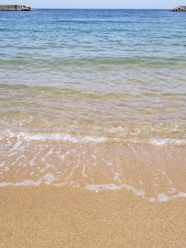 f:id:ukonmikan:20190609182930j:plain f:id:ukonmikan:20190609182930j:plain