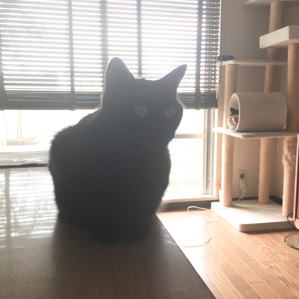 f:id:ukosako:20180616114541j:plain