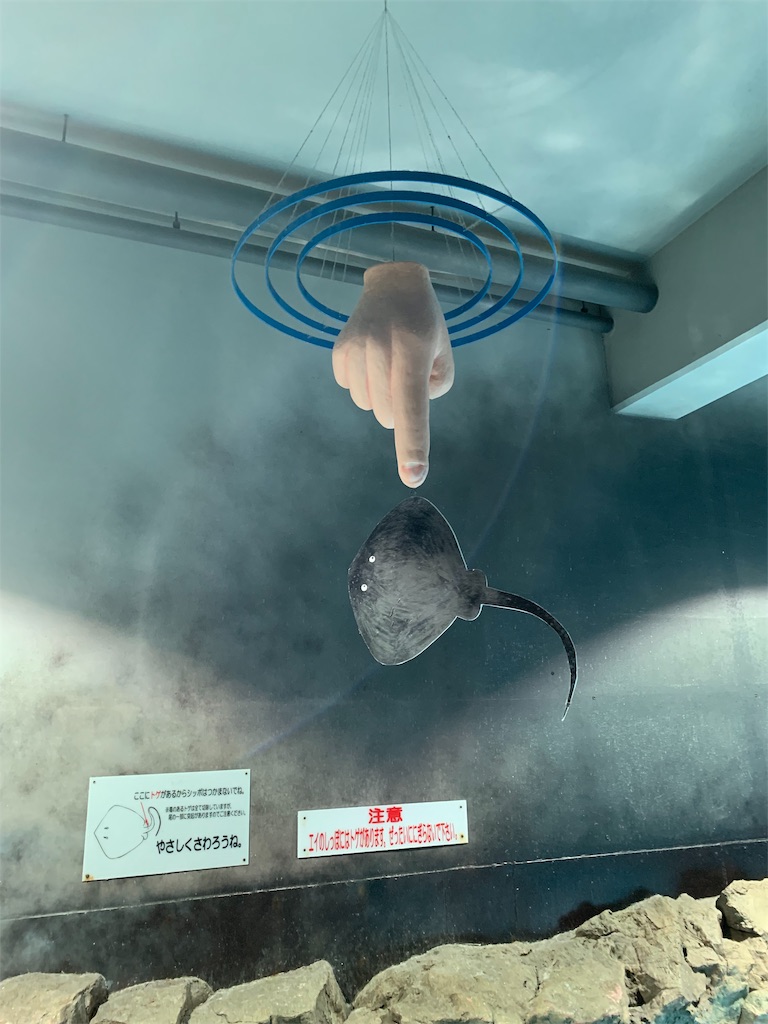 f:id:ukox:20191116230333j:image f:id:ukox:20191116230333j:image