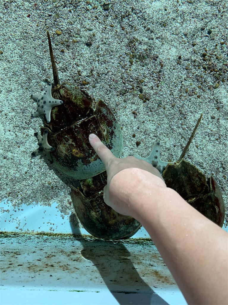 f:id:ukox:20191116230408j:image f:id:ukox:20191116230408j:image