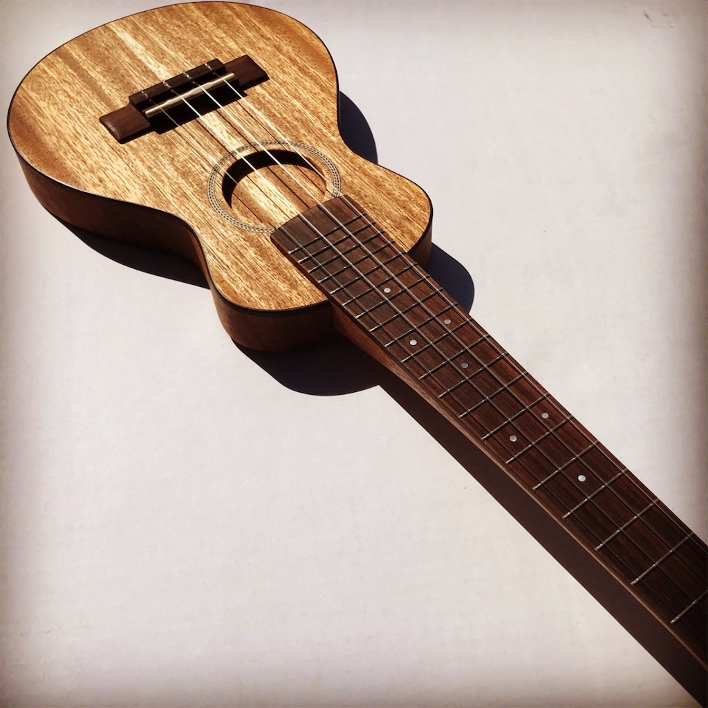 f:id:ukulelefun:20210120152223j:image f:id:ukulelefun:20210120152223j:image