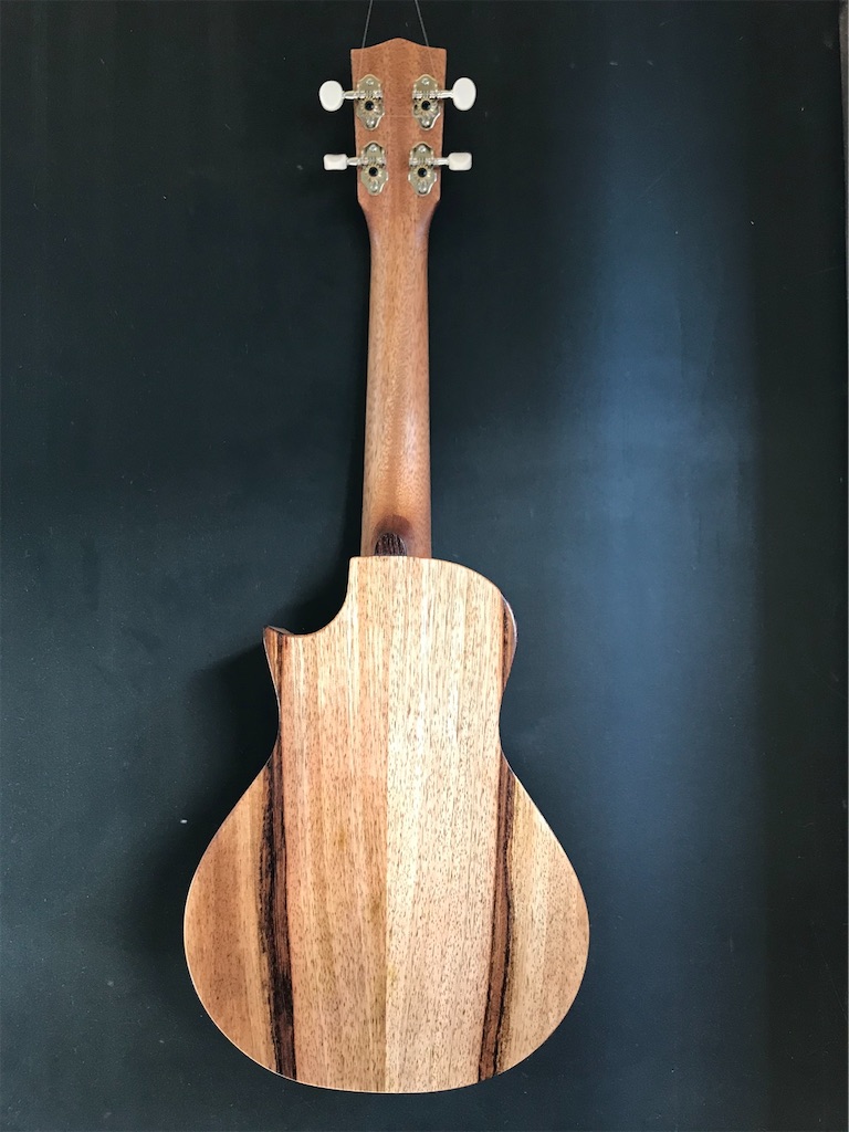 f:id:ukulelefun:20210208164500j:image f:id:ukulelefun:20210208164500j:image