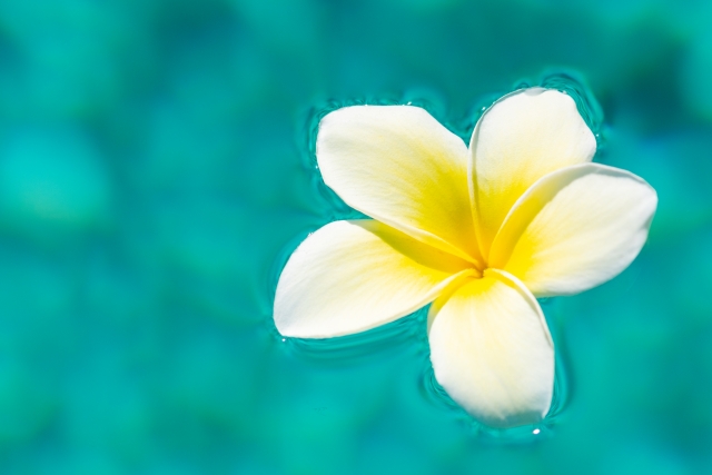 流れて、