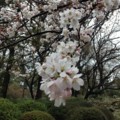 20140330131157