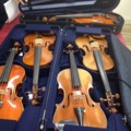 new violins