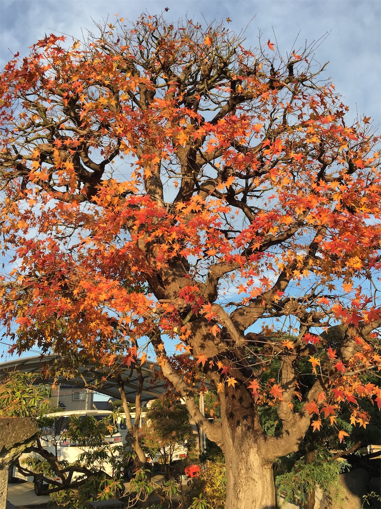 f:id:ulalantan:20191223120507j:image