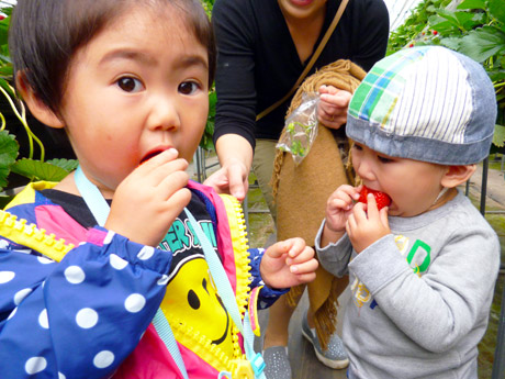 f:id:ulpen:20151121220142j:image